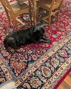 Rug Rinsing